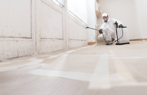 24/7 Emergency Attic Mold Remediation experts in Chantilly, VA